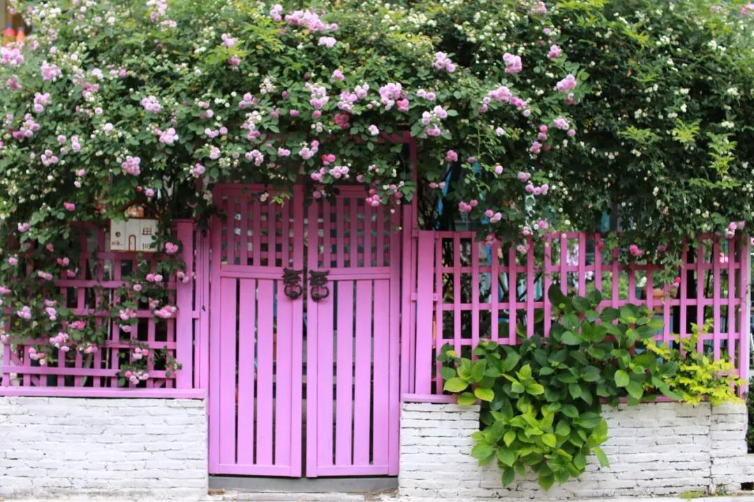 “寵妻狂魔”打造全手工花園，順手開創(chuàng)無(wú)數(shù)網(wǎng)紅爆款···