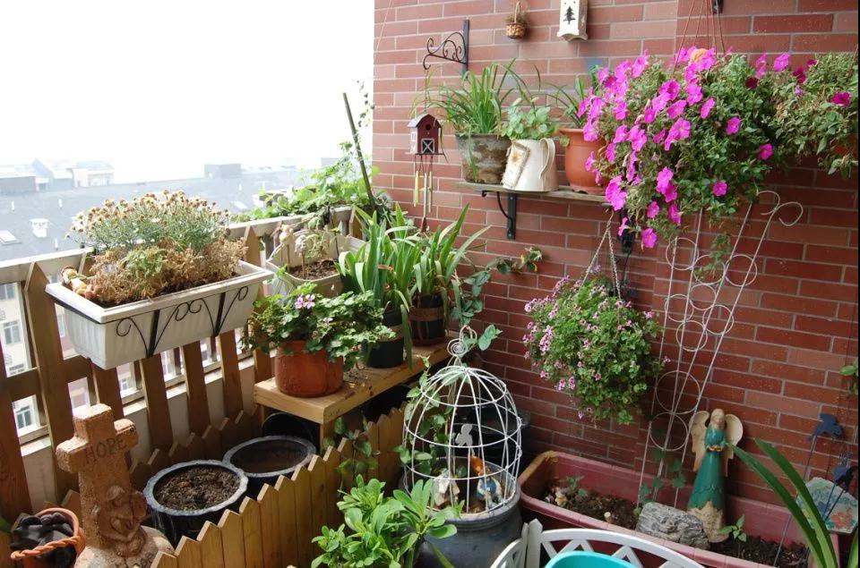 什么技巧可以讓“偽花癡”快速進階為園丁達人？