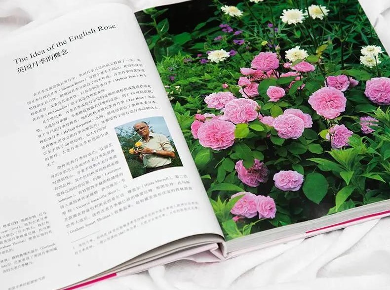 首發(fā)出版！這本大衛(wèi)奧斯汀親筆的“玫瑰圣經(jīng)”終于引進(jìn)了