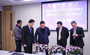 官宣 | 坂田花彩園藝（嘉興）有限公司成立，桑蓓斯新品首發(fā)上線！