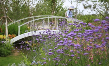 第10屆花博會，虹越喜獲11項大獎！