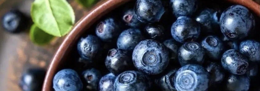 想要從0開始學(xué)種藍(lán)莓？這份“大神指南”送給你~