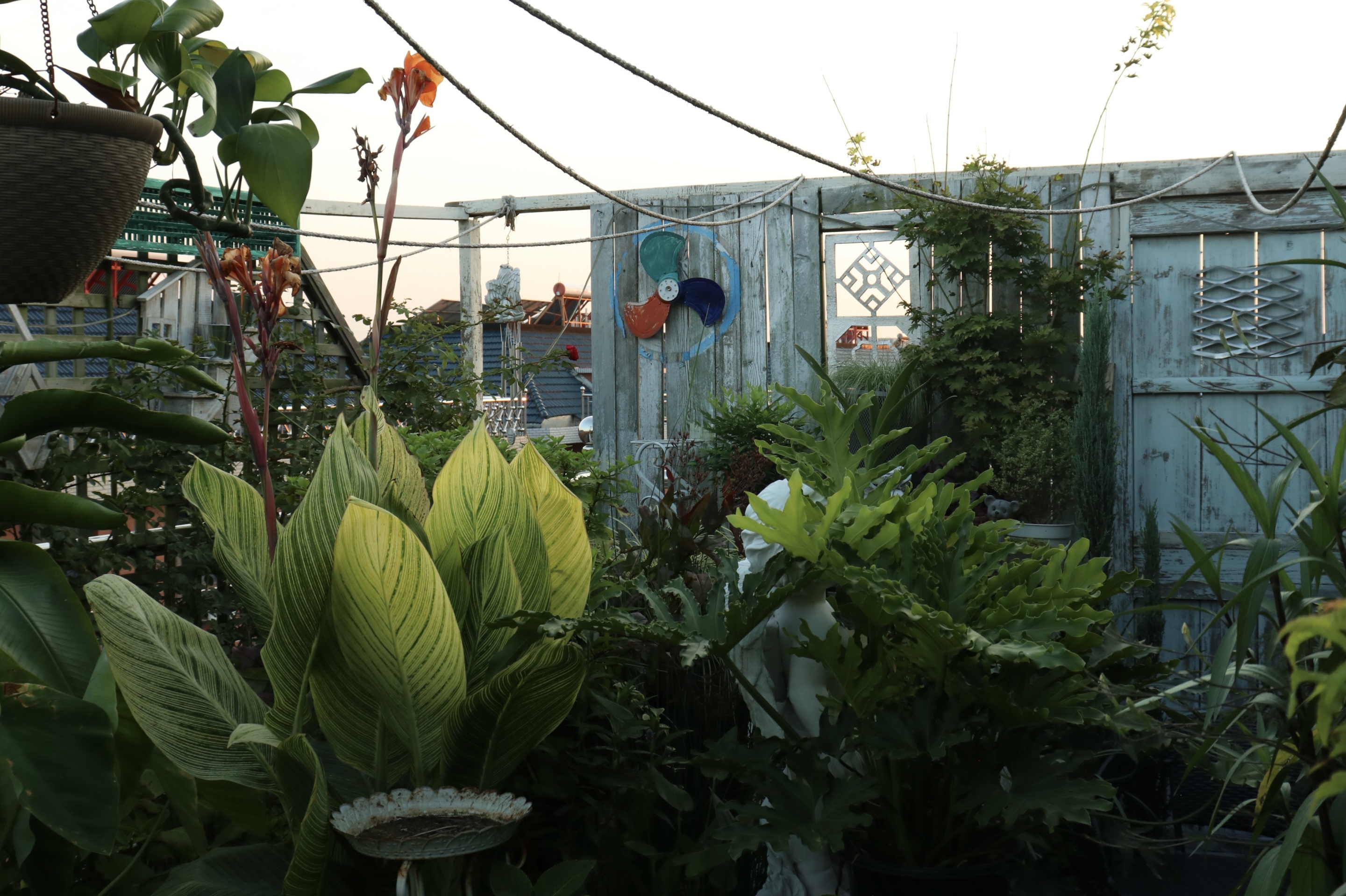 0元爆改水泥天臺(tái)，高手竟在我身邊？！