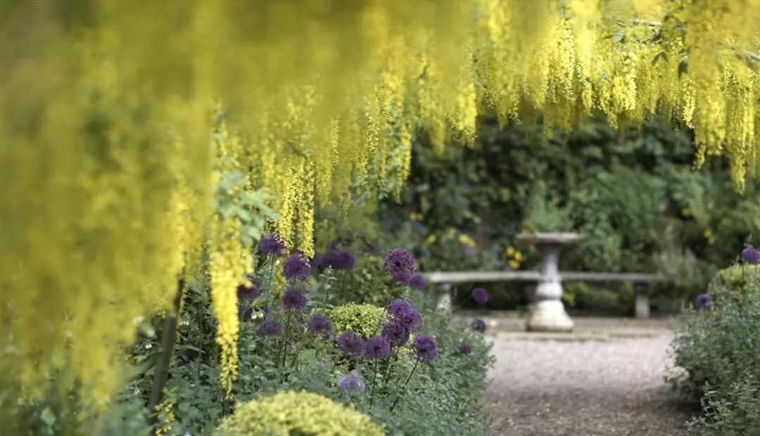 他為妻子打造最美坡地花園，驚艷世界80年