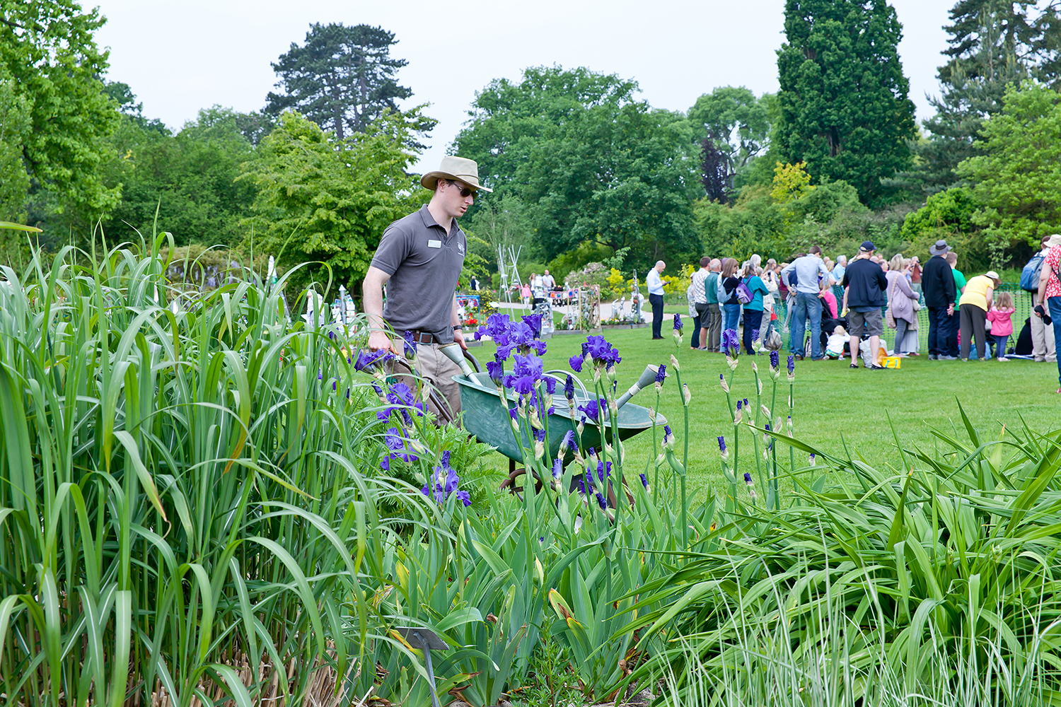 一年一度清園季！學(xué)會這波操作，病蟲統(tǒng)統(tǒng)不見~