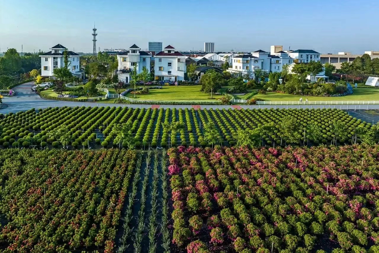 過(guò)年不打烊！虹越線(xiàn)上零售渠道營(yíng)業(yè)安排通知！