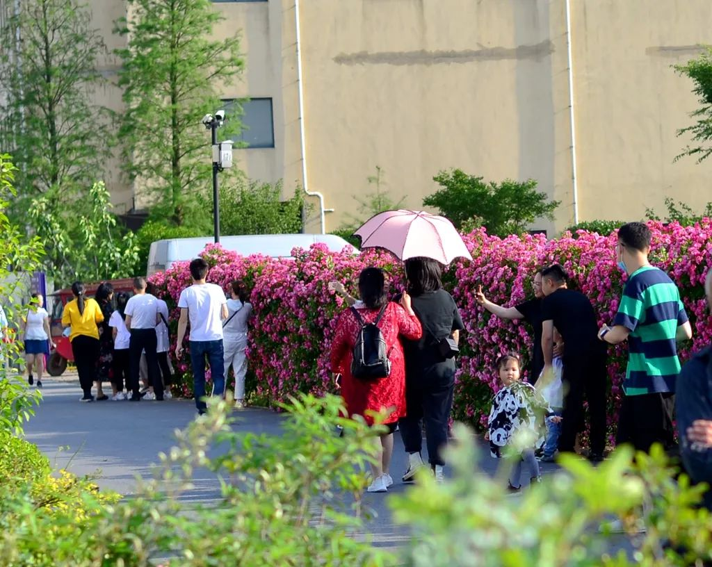 1647241066146675.png image.png